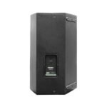 PARLANTE PASIVO LEXSEN PD915 - Imagen 3